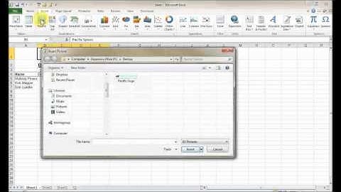 MS Office 2010. Excel Basic: Unit 2 Topic C: Inserting Basic Pictures