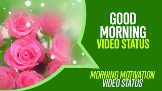 Good Morning Whatsapp Status - HD