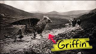 6 Beasts the Romans Saw And Why They Disappeared