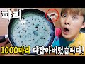 밥 먹을때마다 다가오는 파리1000마리 다잡아버렸습니다!!!