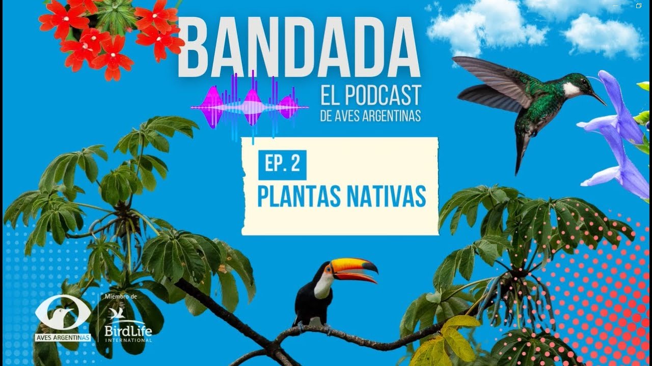 Bandada - El podcast de Aves Argentinas T. 01 EP 02 - ¡Plantas Nativas!