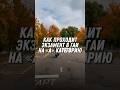 Экзамен в ГАИ на «А» категорию #пвтошколаминск