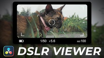 Camera Viewer Overlay Effect in Davinci Resolve
