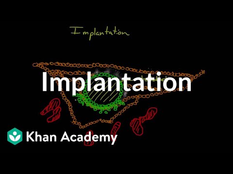 Implantation | Behavior | MCAT | Khan Academy