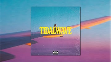 ~FREE~ SAMPLE PACK // LOOP KIT - "TIDALWAVE" (Cubeatz, PVLACE, Southside, Dark, Mike Dean)