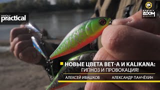 видео: Новые цвета Bet-A и Kalikana: гипноз и провокация! А. Ивашков А. Панчёхин. Anglers Practical картинка: Новые цвета Bet-A и Kalikana: гипноз и провокация! А. Ивашков А. Панчёхин. Anglers Practical