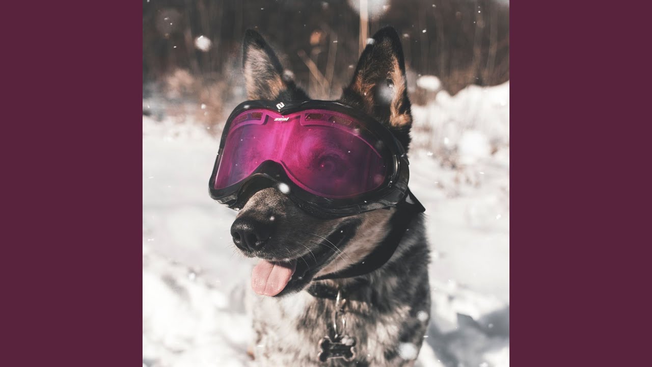 Delightful Separation Anxiety