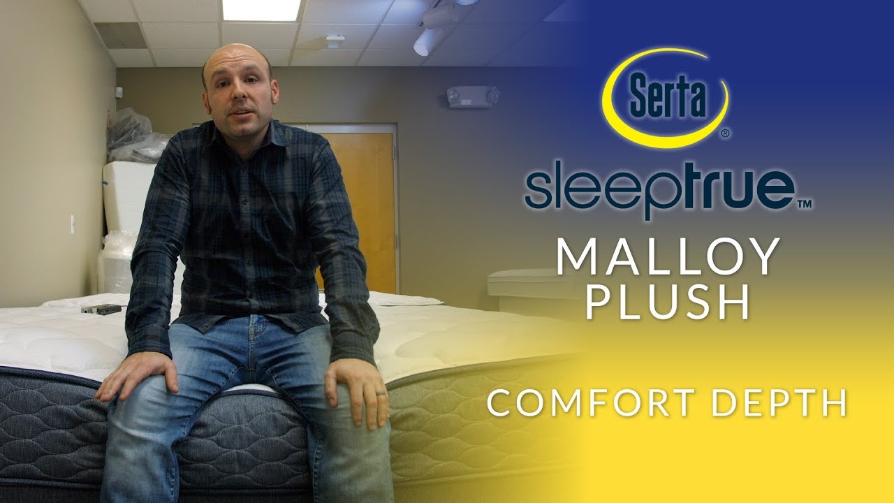 serta sleeptrue malloy
