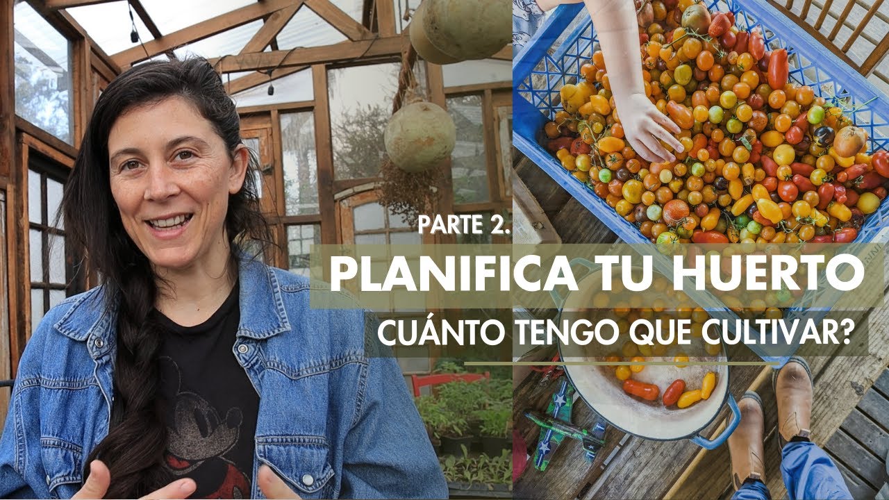 Cuánto sembrar de cada cosa? Planifica tu huerto | Parte 2