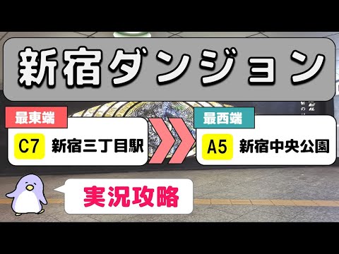 【実況街ブラ】新宿ダンジョン攻略！最長距離の最東端から最西端まで新宿地下街を歩く！ Walking around Shinjuku Underground