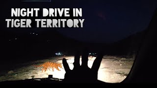 Night Drive In Tiger Territory । Clouded Leopard Information । Night Drive In Tiger Reserve । Tiger