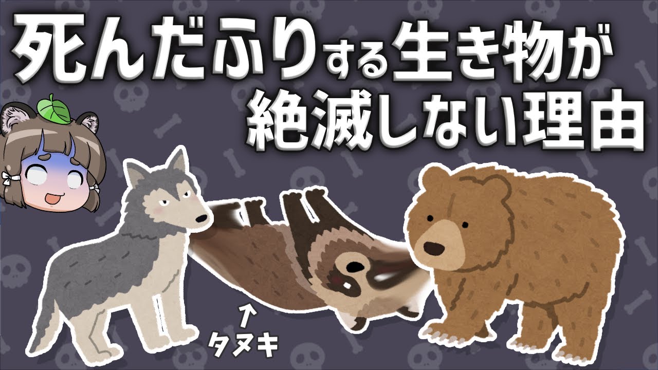 【疑問】死んだふりをする生き物はなぜ絶滅しないのか？