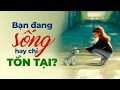 Bn ang sng hay ch tn ti  radio tm s