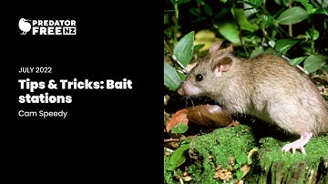 Predator Control Tips & Tricks: Bait stations
