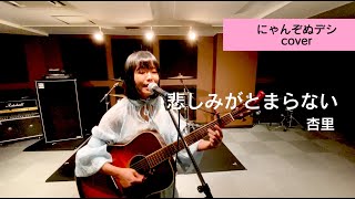 【にゃんぞぬデシcover】悲しみがとまらない / 杏里