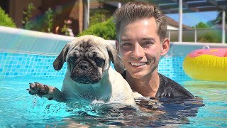 Die HUNDE WELPEN lernen SCHWIMMEN! | Welpen Vlog #4