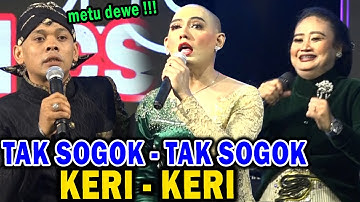Cak Percil Cs Terbaru !! Ora Sido Tepuk Sakinah Malah Dangdutan | Parengan Tuban