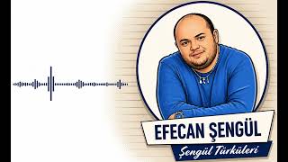 Efecan Şengül - Sen Gi̇tti̇n