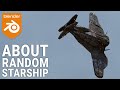 About Random Starhsip #b3d #blenderaddon #blendermarket