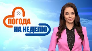 Сезон дождей и гроз! Прогноз погоды с 17 по 22 сентября | Погода на неделю | Плюс-минус