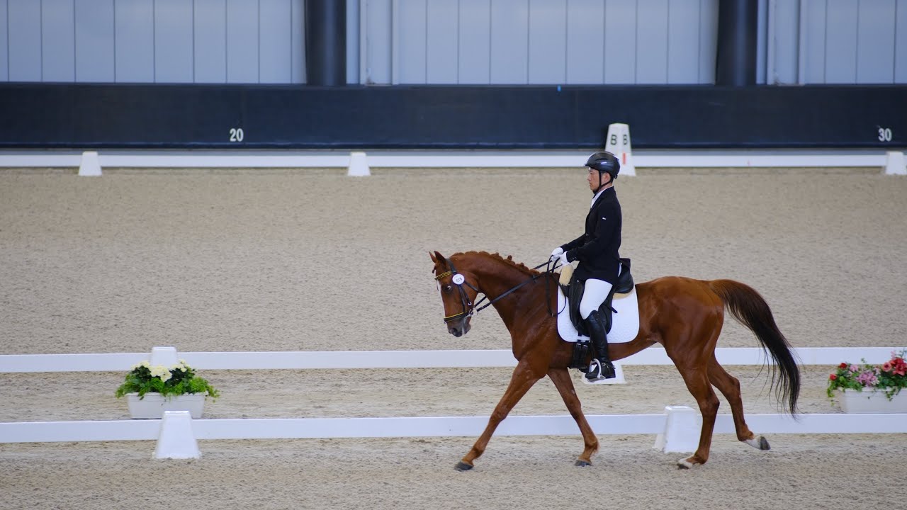 自信を持って騎乗するために必要なこと