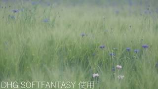 【マルミ光機】DHG Soft FANTASY