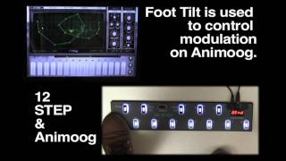 12 Step & Animoog