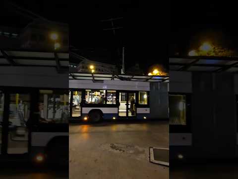 Switzy Travel Viralvideo Trending