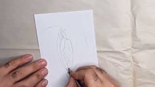 طراحی با مداد از آلت زنانه،pencil drawing of a female penis
