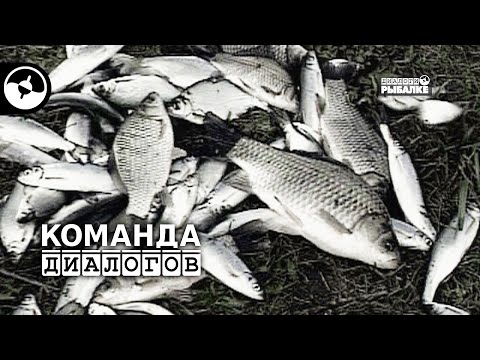 Весенняя рыбалка. Вторая неделя мая | Календарь рыболова