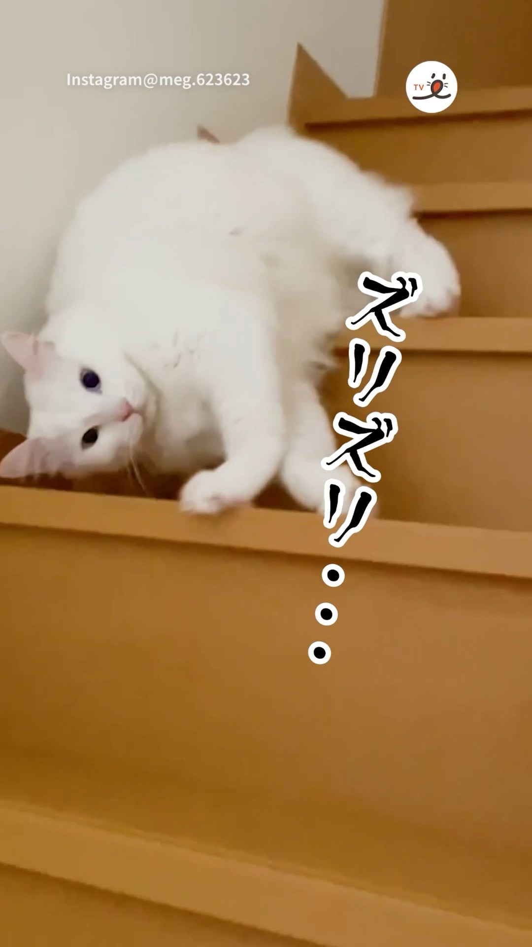 ジオメトリックな白猫のペーパークラフトキット（白猫ちゃんのみ