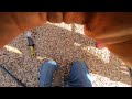 LIVE DIG ACTION!! XP Deus 2 HF2 coil in playground. Coin spill!!