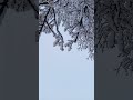 Snow in the mountains of Dagestan is 15 cm.