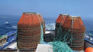 Amazing Catch Hundreds Tons of Snow Crab With Modern Big Boat - Amazing Crab Fishing on the sea