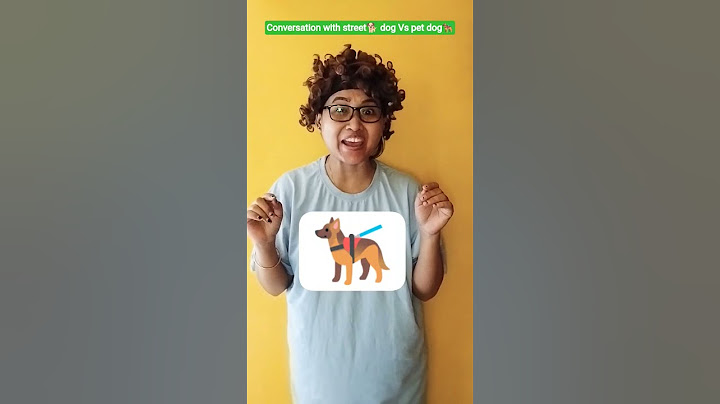 conversation with street dog 🐕Vs pet dog 🐕‍🦺#shorts #comedy #funny @aarjanmoms