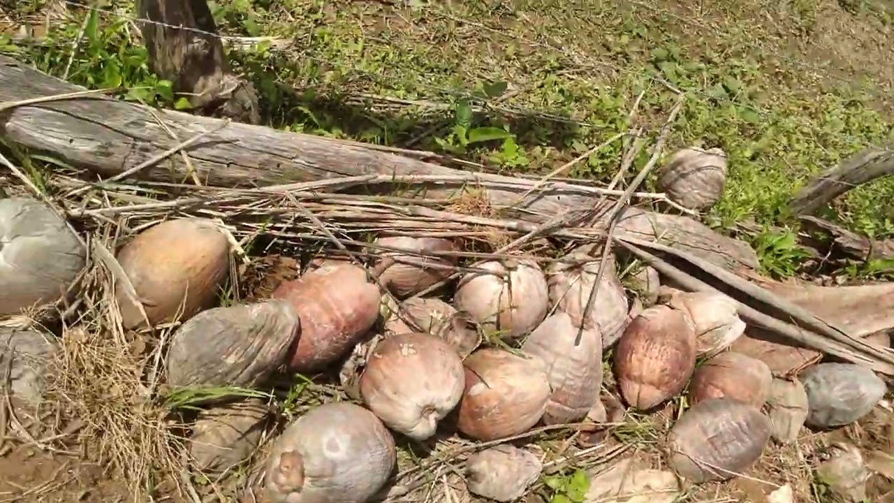 21 de fevereiro de 2026