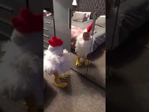 kid dresses up as a chicken for halloween