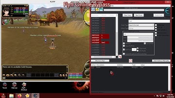 Flyff Online Cheat-Hack-Bypass 100%