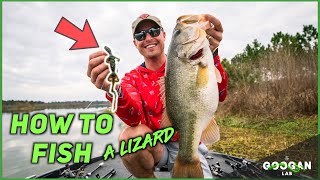 HOW TO Fish a Lizard! ( BASS FISHING TIPS ) screenshot 5