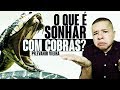 O QUE SIGNIFICA SONHAR COM COBRAS? (4 dicas)