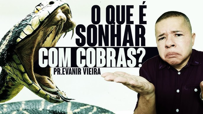 O que significa sonhar com cobra? Conheça as diferentes interpretações -  Rádio Itatiaia