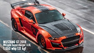 1.050 whp 2018 MUSTANG GT I Nando SA