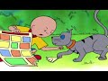 Caillou Képregénye | Caillou Magyarul - WildBrain