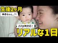 【生後2ヶ月】日中はワンオペ＆朝夜はパパの神サポート！5歳と過ごすリアルな平日1日