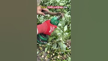 Kéo Cắt Cành WorkFix CP30BL Siêu Tiện Dụng - Đường Kính Cắt Tối Đa 3cm - Chuyên Tỉa Cành, Làm Vườn