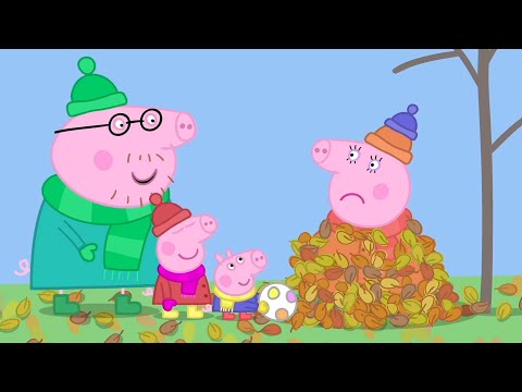Heo Peppa | ngày gió | Phim Hoạt Hình Cho Trẻ Em