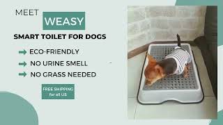 Weasy smart potty