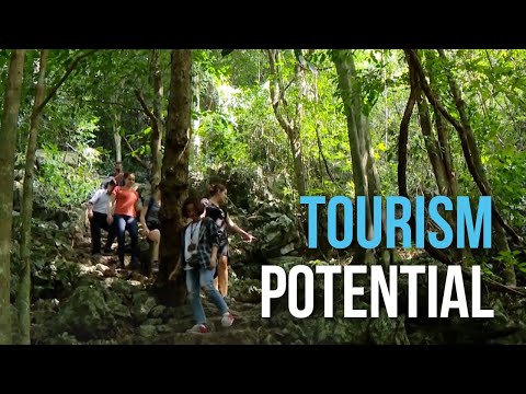Vietnam’s national parks and reserves hold a great tourism potential