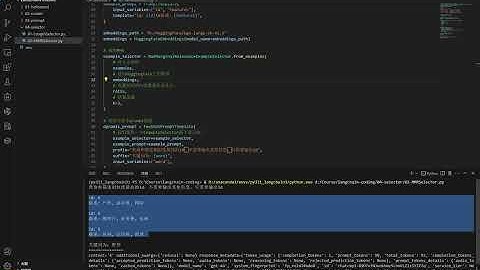 4-2 示例选择器-MMR【从0到1，LangChain+RAG全链路实战AI知识库】