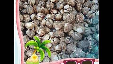 Phố nướng Long Xuyên, hải sản tươi sống thơm ngon